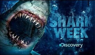 shark-week-discovery