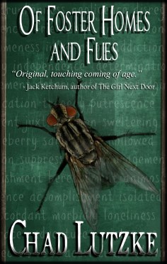 Of Foster Homes and Flies final cover with Ketchum blurb
